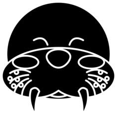 Walrus