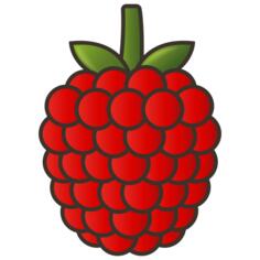 Raspberry