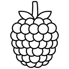 Raspberry
