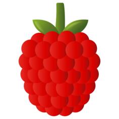 Raspberry