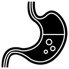 Stomach
