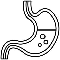 Stomach