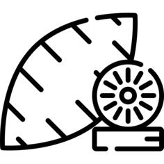 甘薯