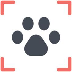 Pawprint