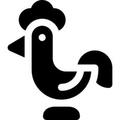 公鸡