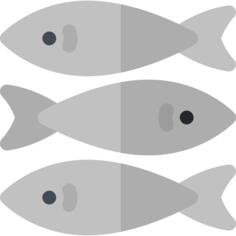 Sardines