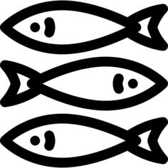Sardines