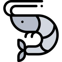 Shrimp