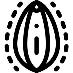 阴道