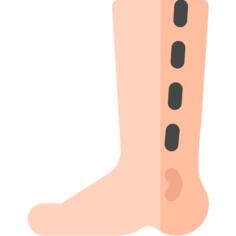 Calf