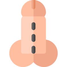 Penis