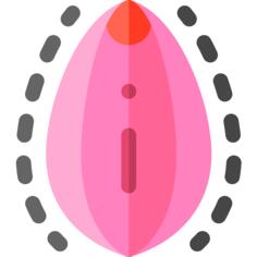 阴道