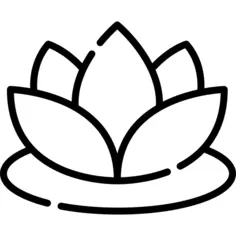 莲花