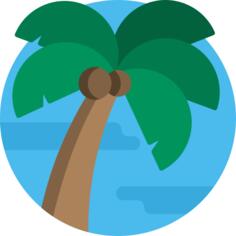 Palm tree