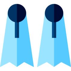 Fins