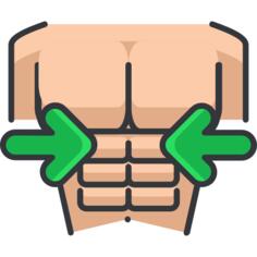 躯干