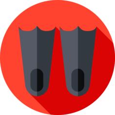 Flippers