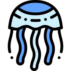 Jellyfish