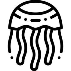 Jellyfish