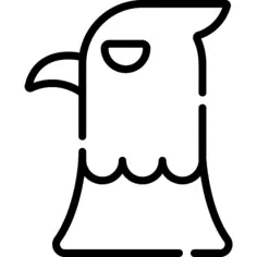 鹰