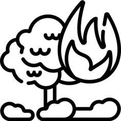 Forest fire