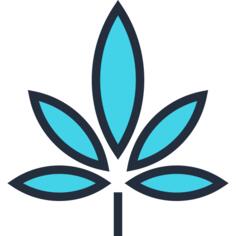 大麻