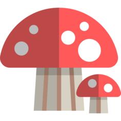 蘑菇
