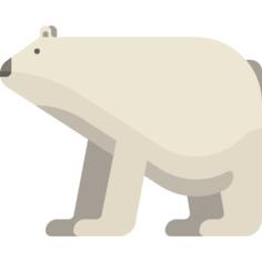 Polar bear
