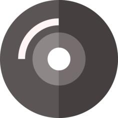 Vynil