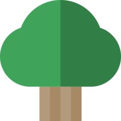 Cypress