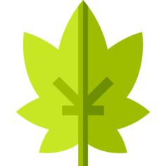 大麻