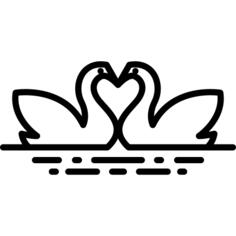 可爱的Swangs