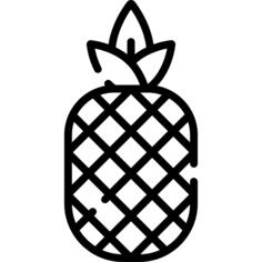 菠萝