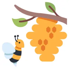 蜂窝