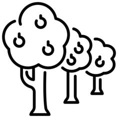Apple tree