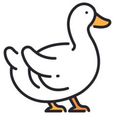 鸭