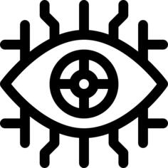 Eye