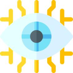 Eye
