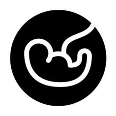 胎儿