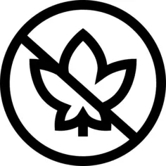 No drugs