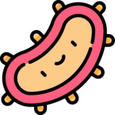 Bacteria
