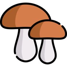 蘑菇