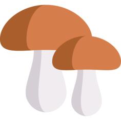 Mushrooms