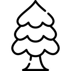 Pine