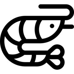 Shrimp