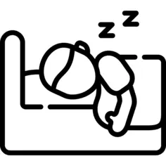 睡眠