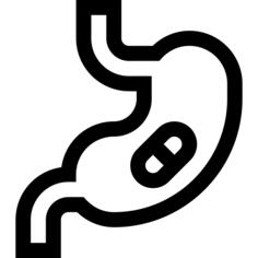 Stomach