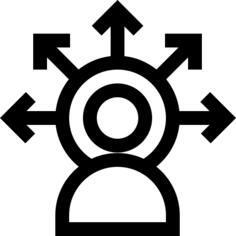 选项