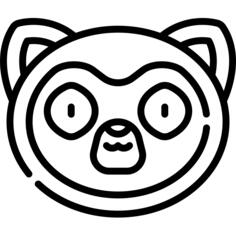 狐猴