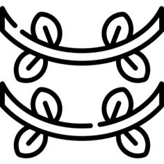 Vine